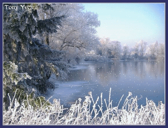 frimas10.gif