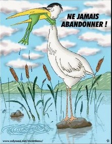 grenouille lâche pas ne jamais abandonner.jpg
