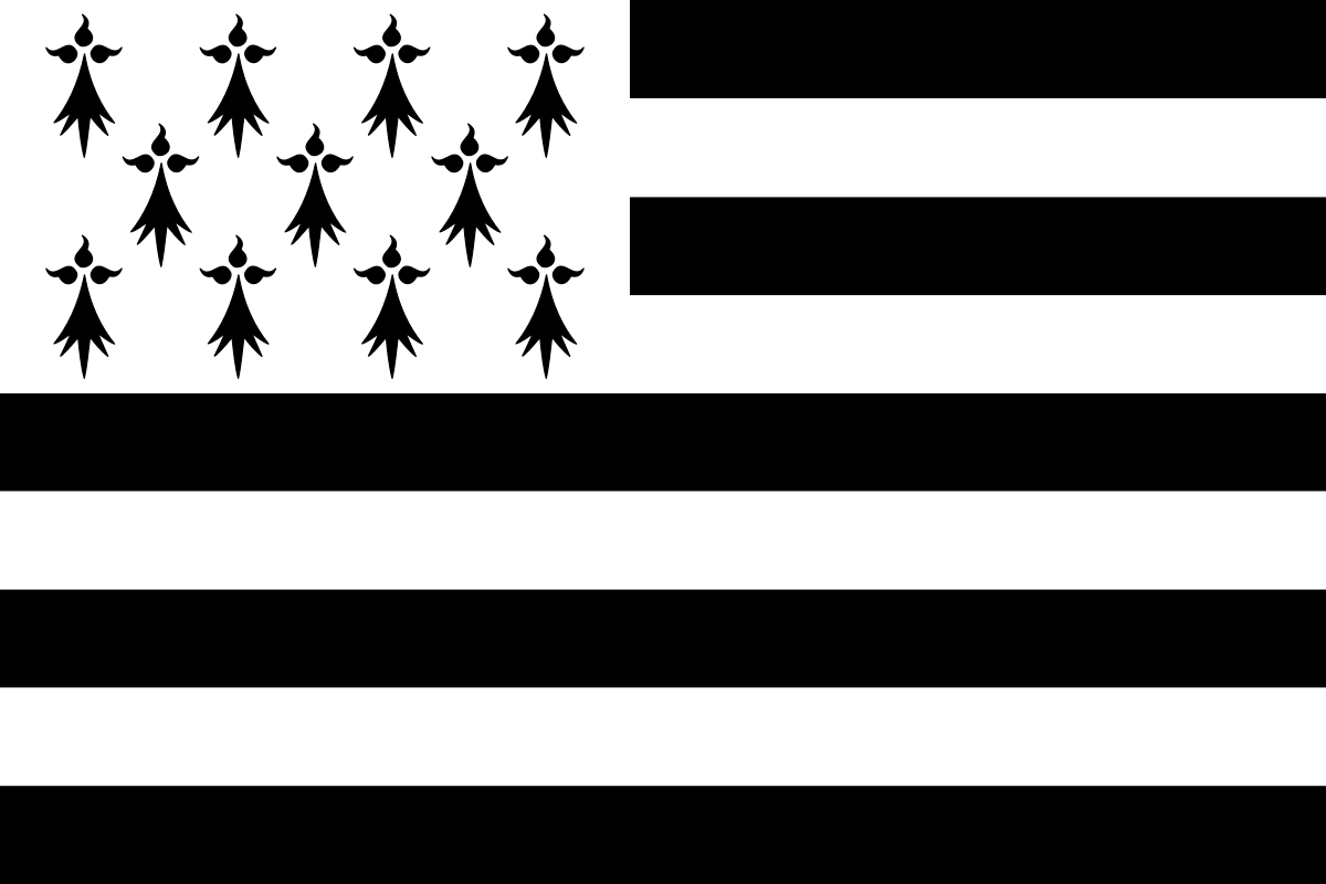 Gwenn_ha_Du_(11_mouchetures).svg.png