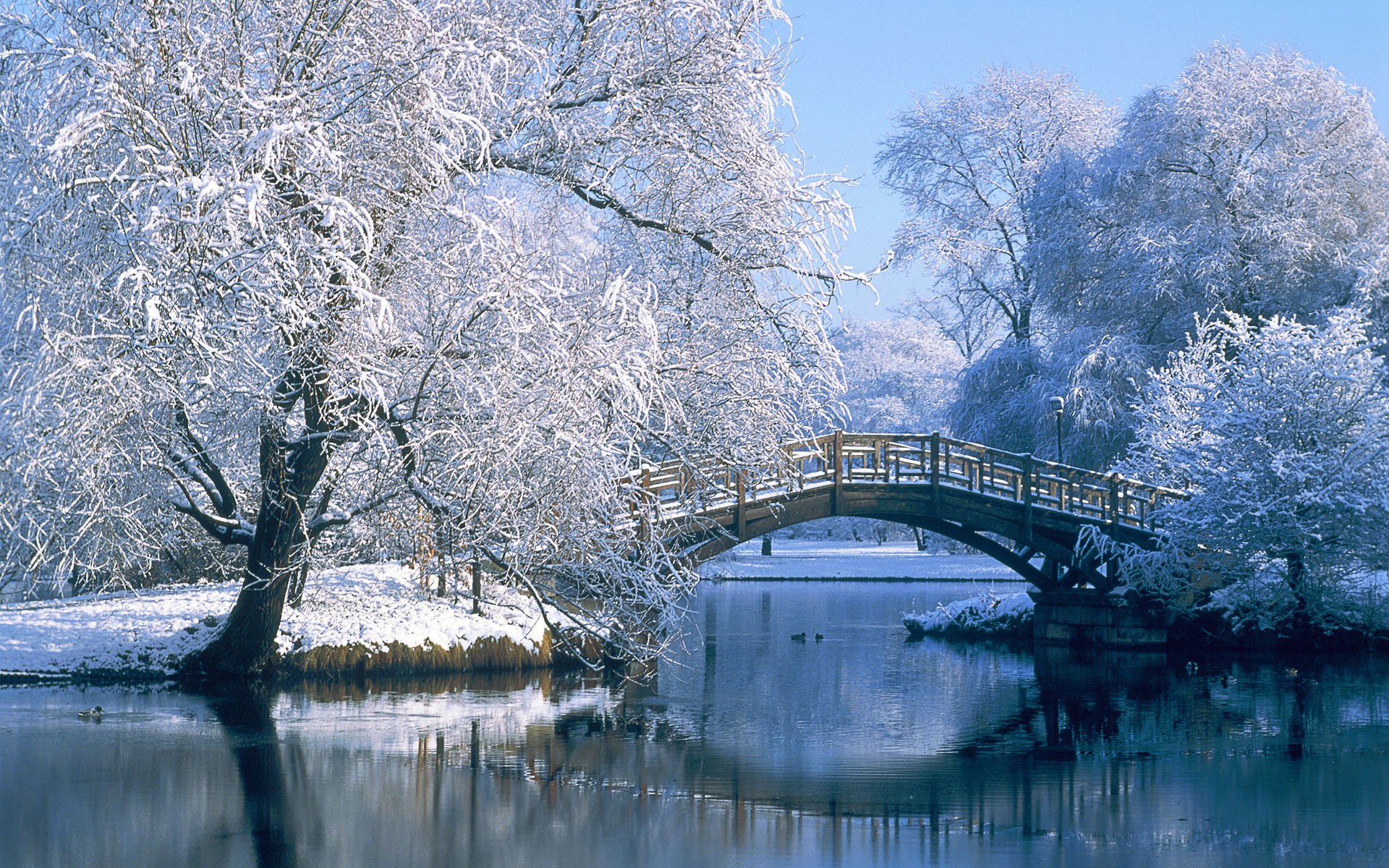hiver 2.jpg