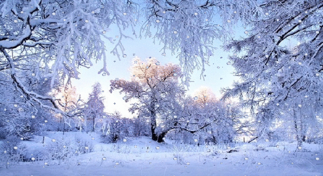 Hiver 2021.gif