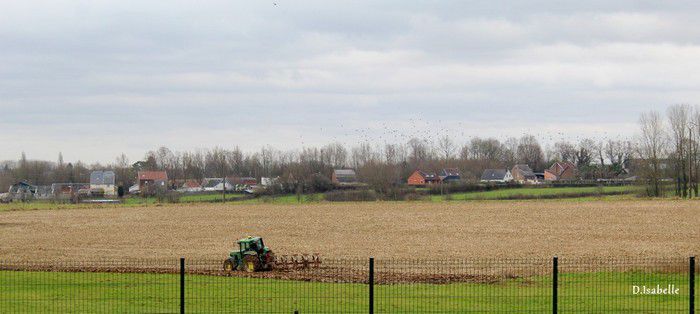 image_2237681_20220312_ob_95cb5f_tracteur-1a.jpg