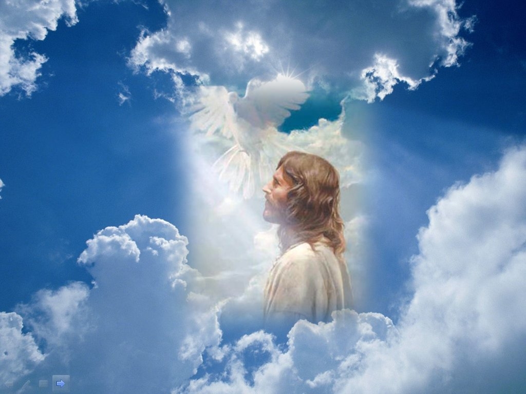 Imagen17.jpg