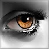 images (21).jpg