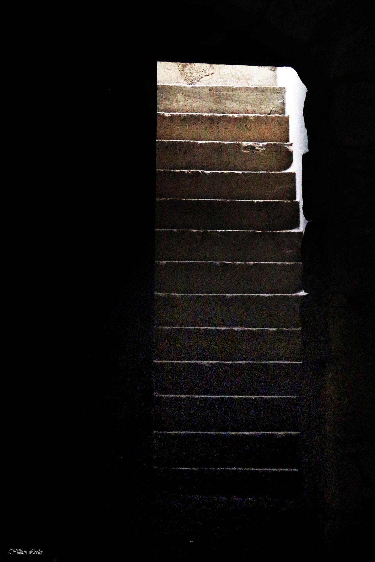 IMG_0765 40x60.jpg