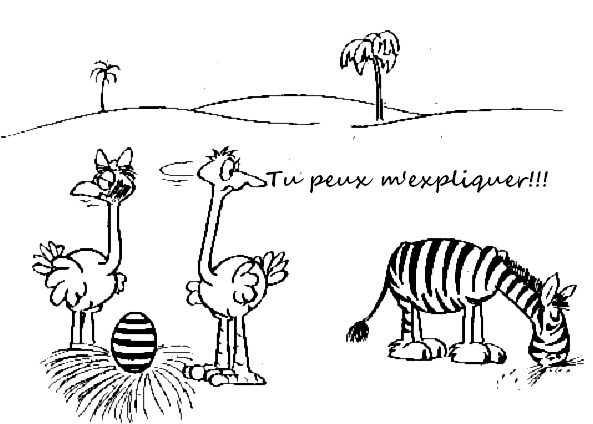 Incroyable.jpg