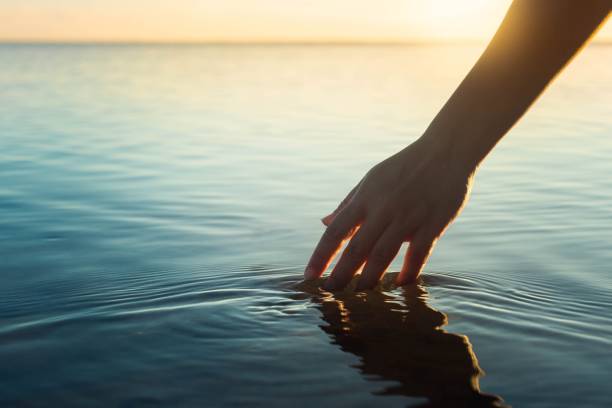 istockphoto-1299887977-612x612.jpg