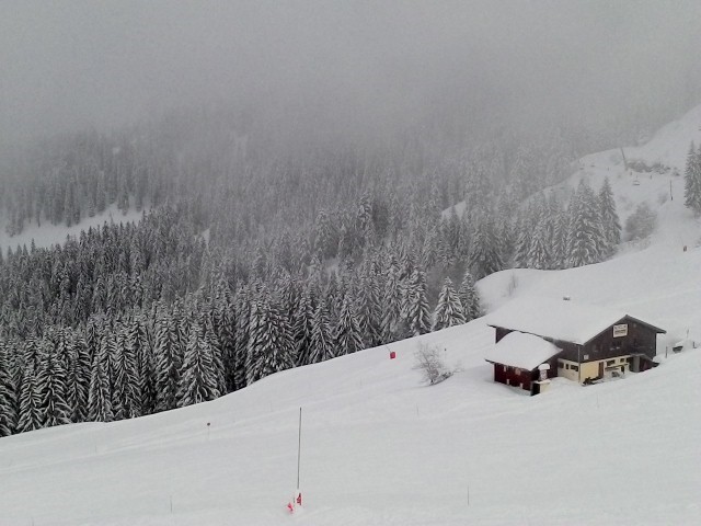 j1-photo2.jpg