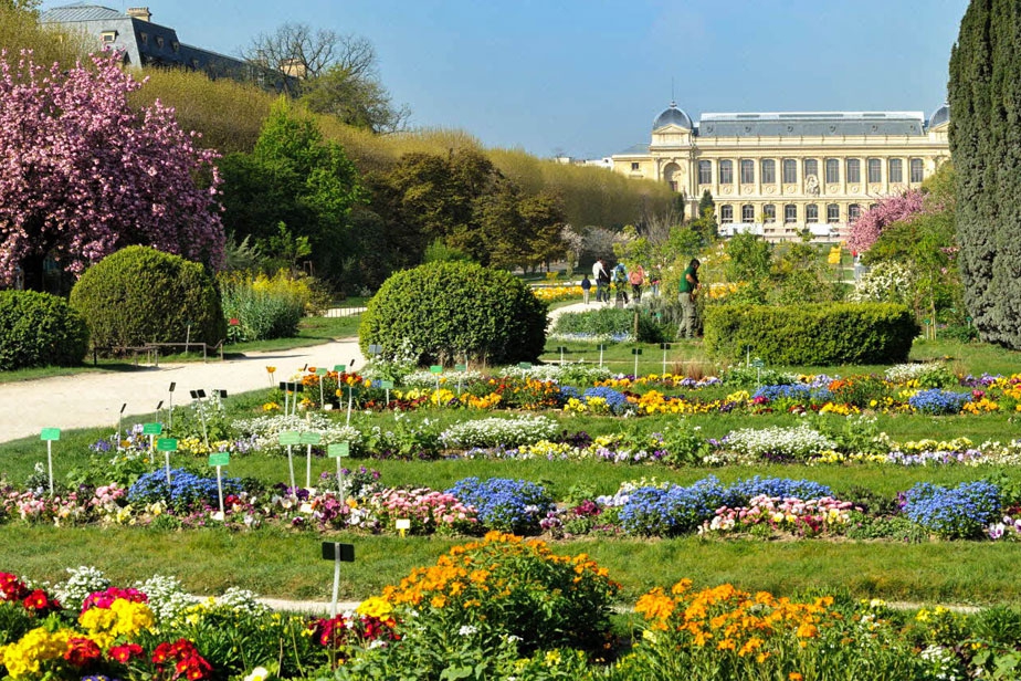 jardinDesPlantes.jpg