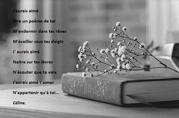 j'aurais aimé...jpg