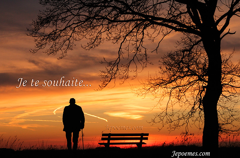 je-te-souhaite-victor-hugo-jepoeme.jpg