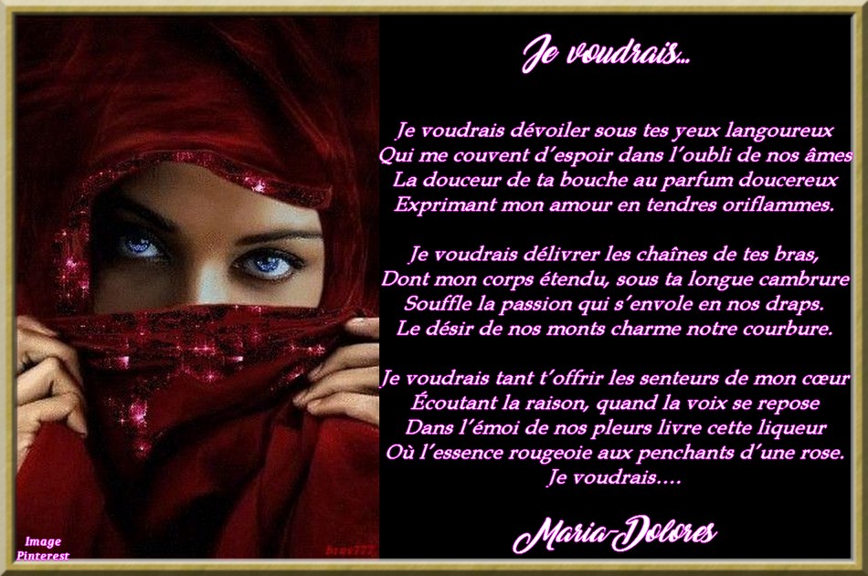 Je voudrais...Défi....début imposé..jpg