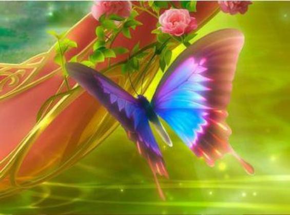 Joli papillon.jpe