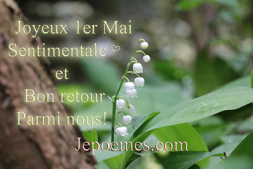 joyeux-1er-mai-sentimentale.png