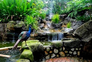 Kuala Lumpur Bird Park 1.jpg