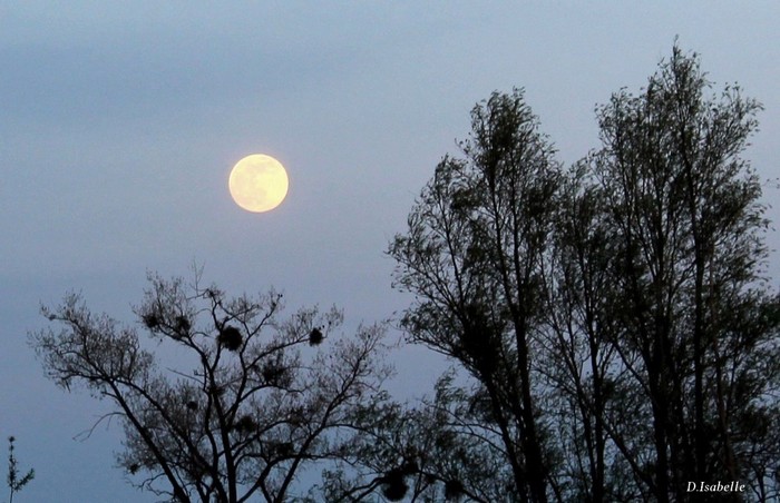 La lune1C.jpg