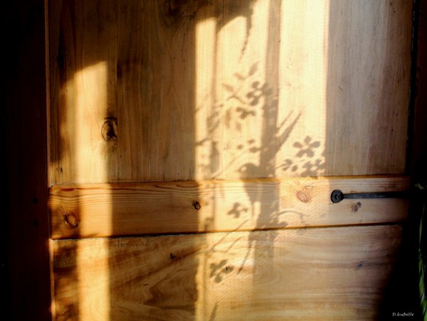 La porte 1.jpg