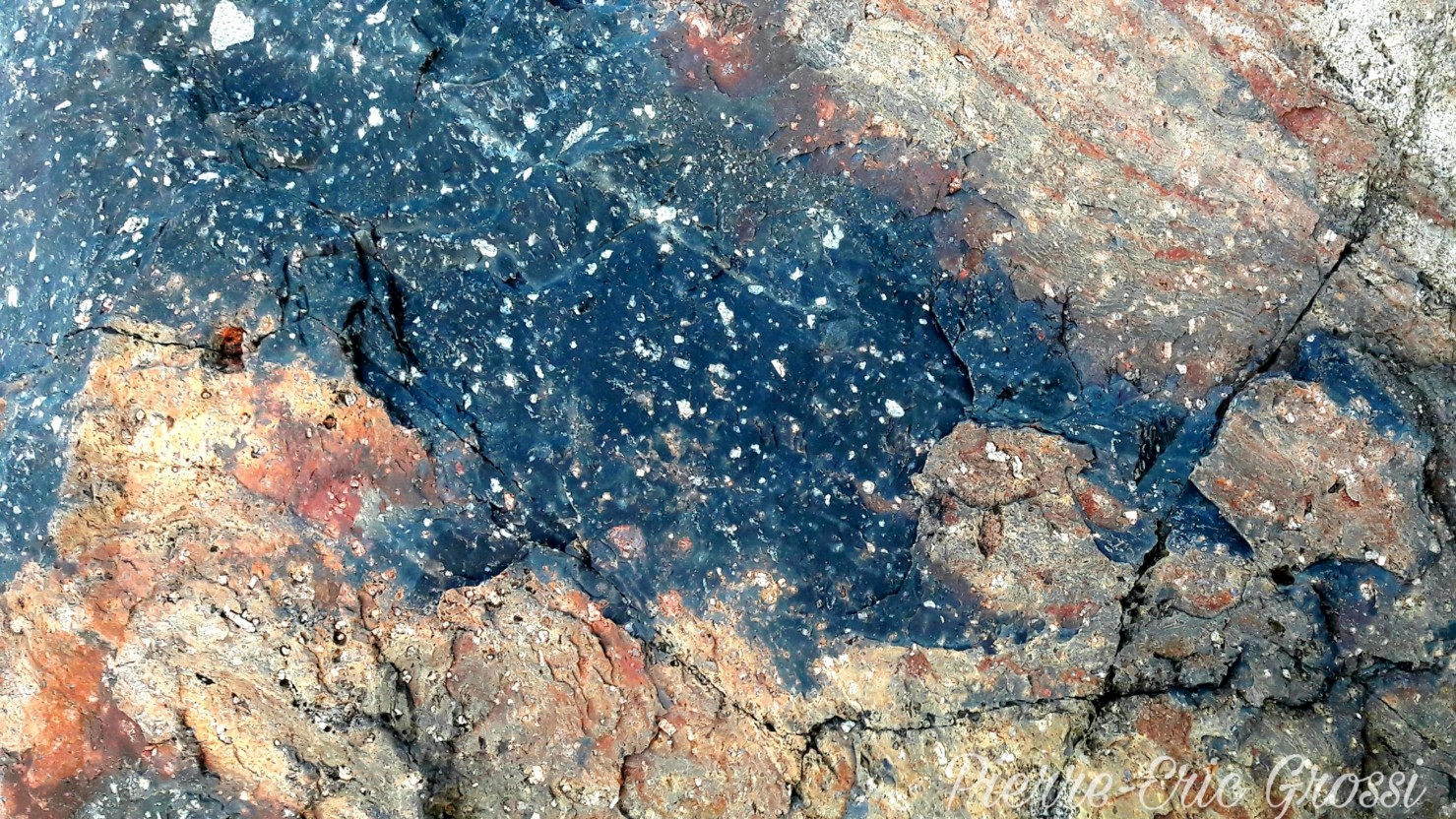 la tete dans les etoiles.jpg