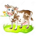 la vache.jpg
