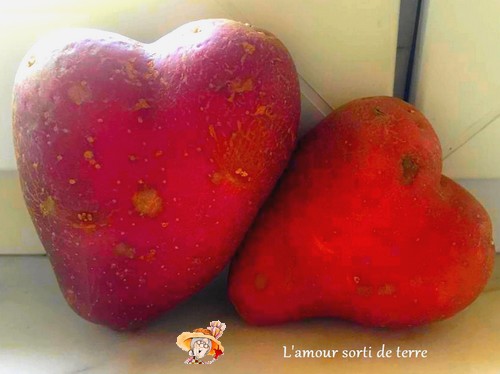 L'amour sorti de terre.jpg 0.jpg