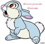 lapin-C1.jpg