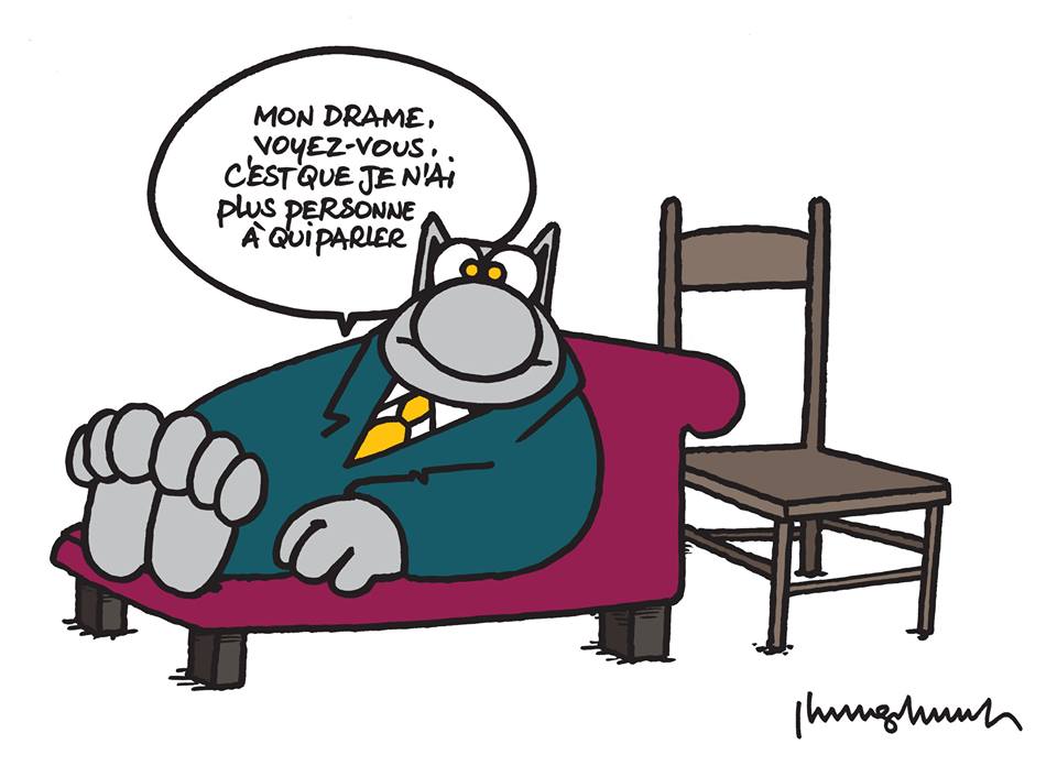 le-chat-sans-psy.jpg