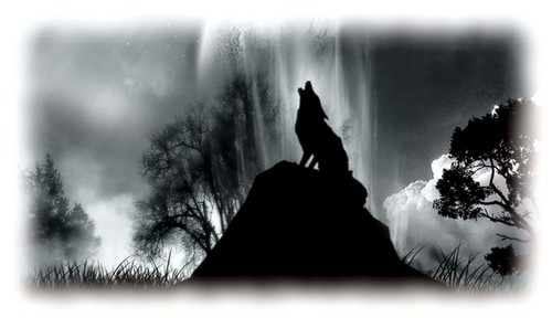 Le loup des montagnes-02.jpg
