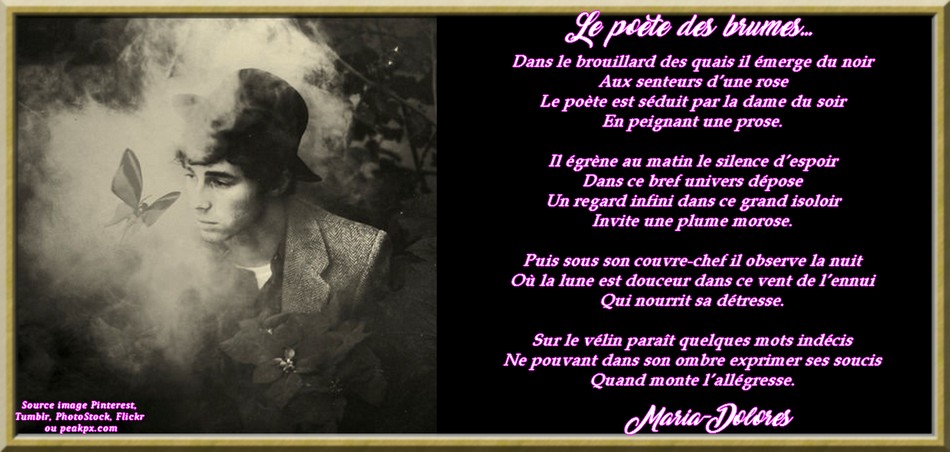 Le poète des brumes....jpg