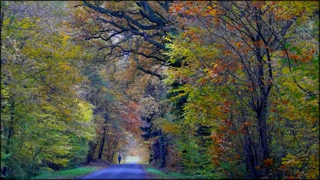 Le temps des couleurs2.JPG