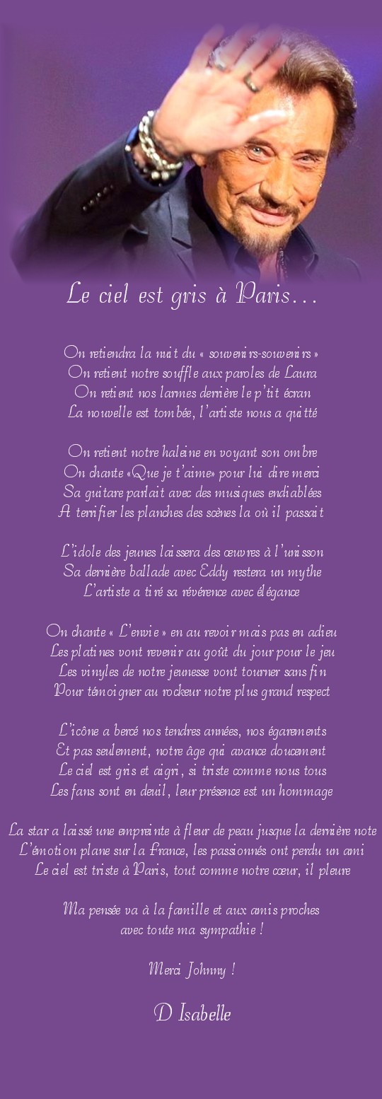 lecielestgrisaparis 1.jpg