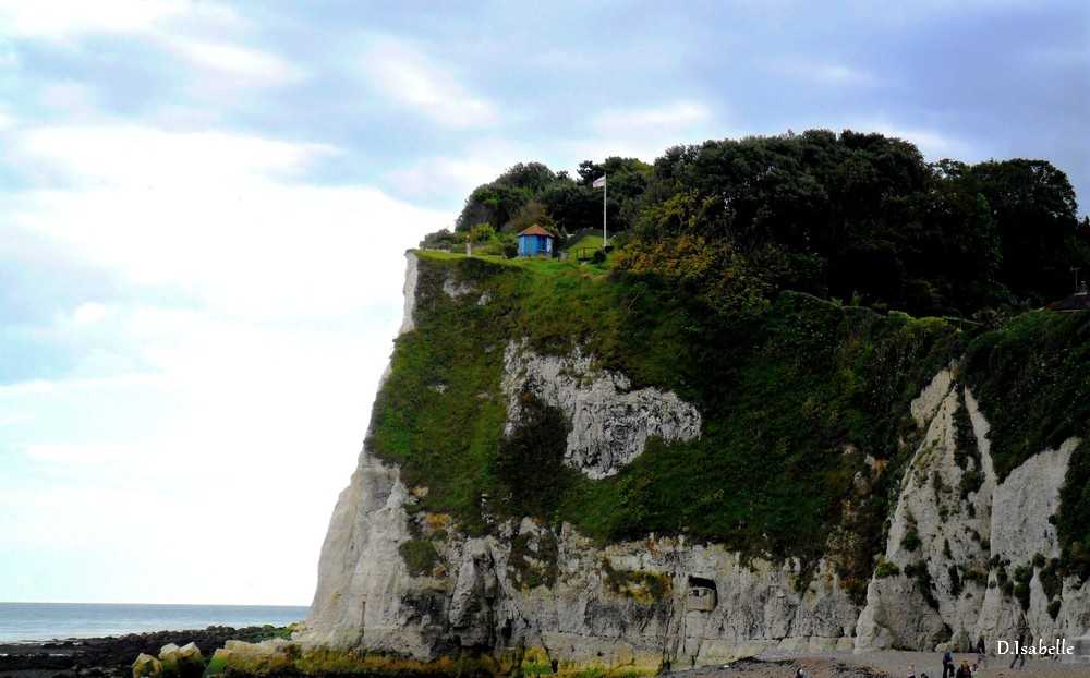 Les falaises blanches de St Margaret....jpg
