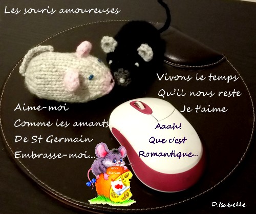 Les souris amoureuses.jpg
