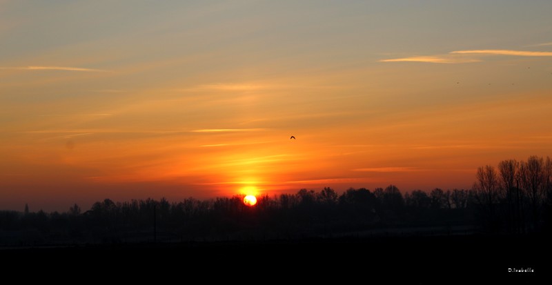 Lever de soleil.jpg 2.jpg