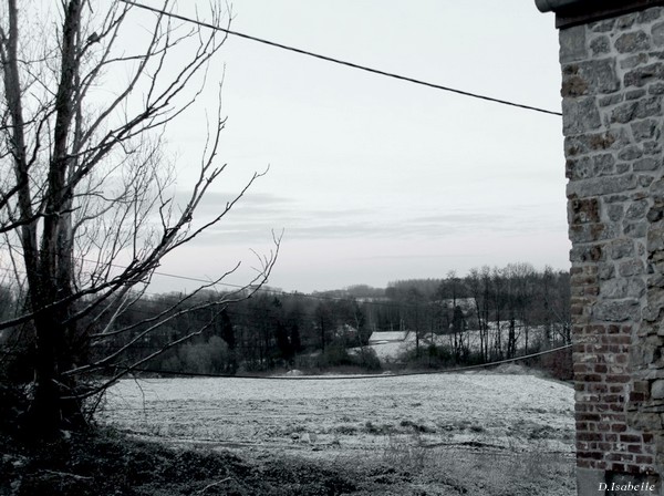 l'hiver au printemps.jpg 1.jpg