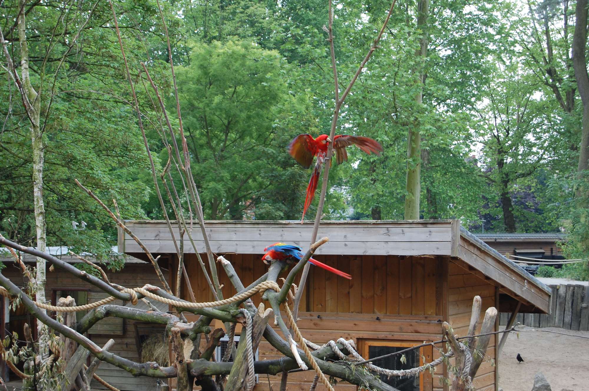 lille mai 2011 114.jpg