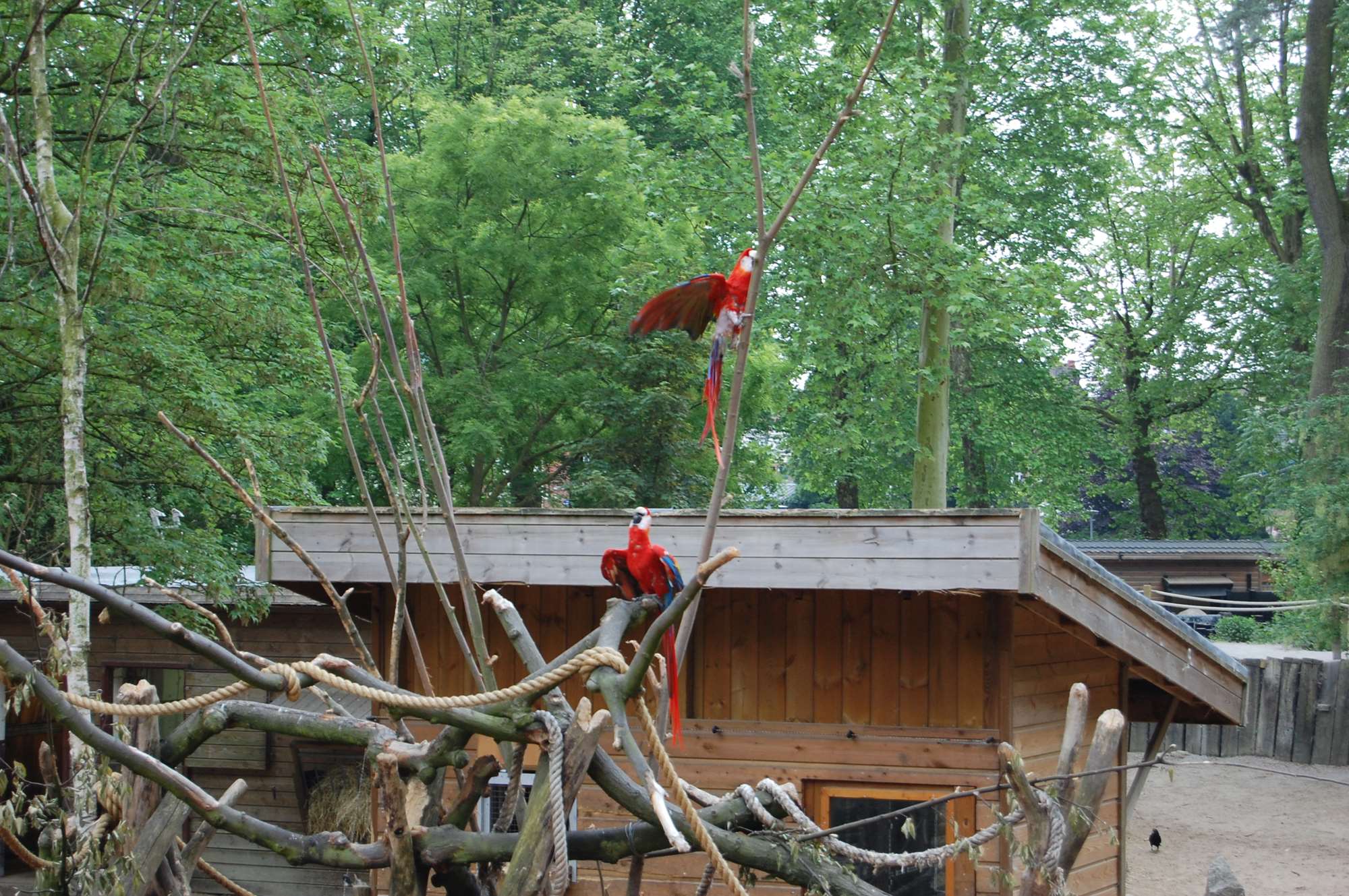 lille mai 2011 115.jpg