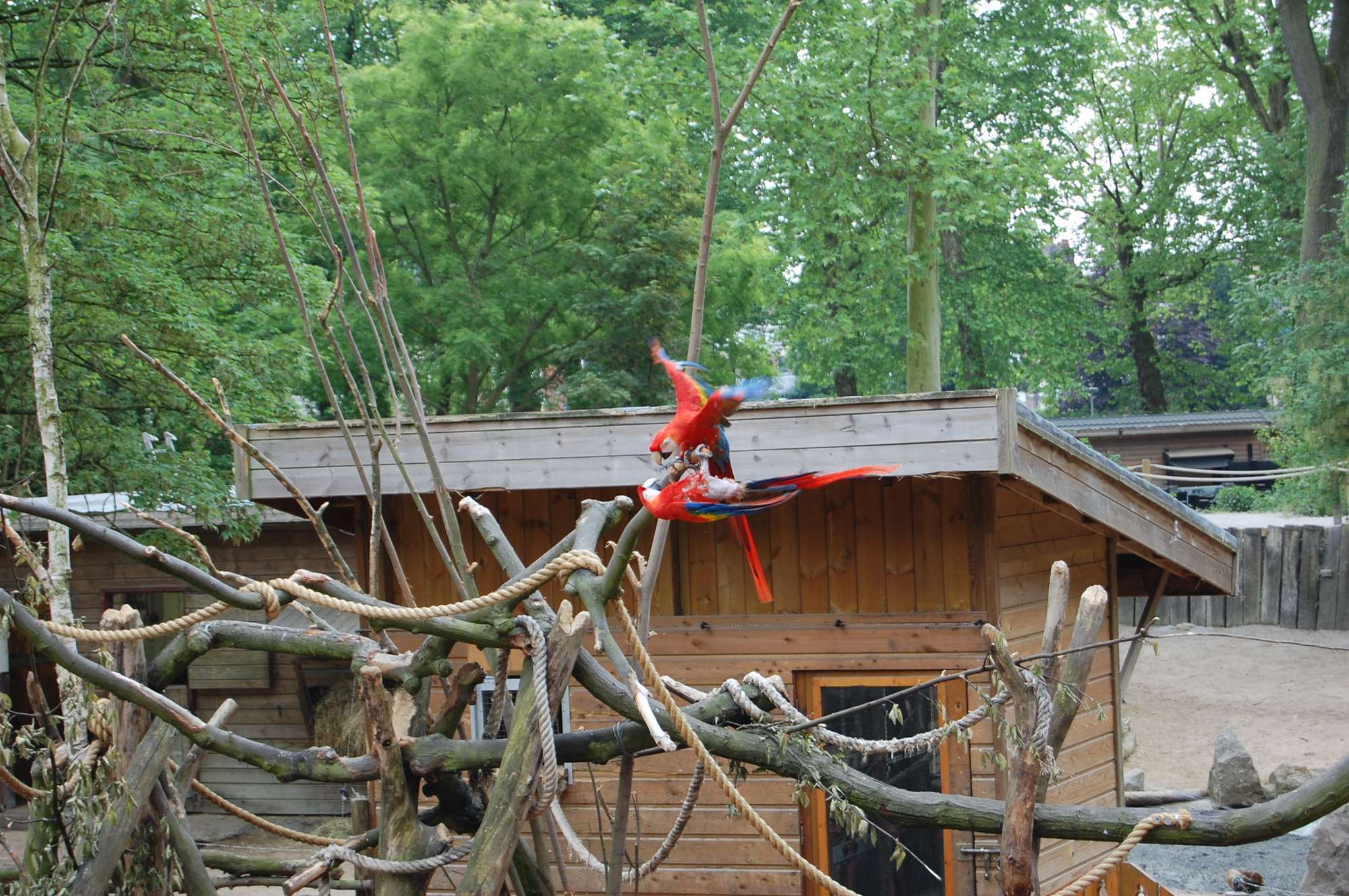 lille mai 2011 122.jpg