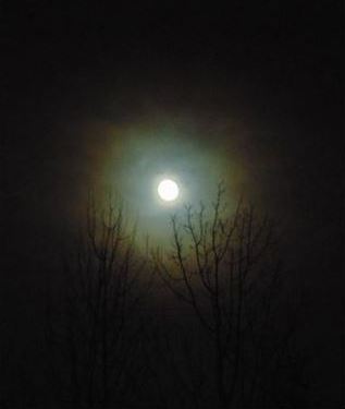 Lune (2).jpg