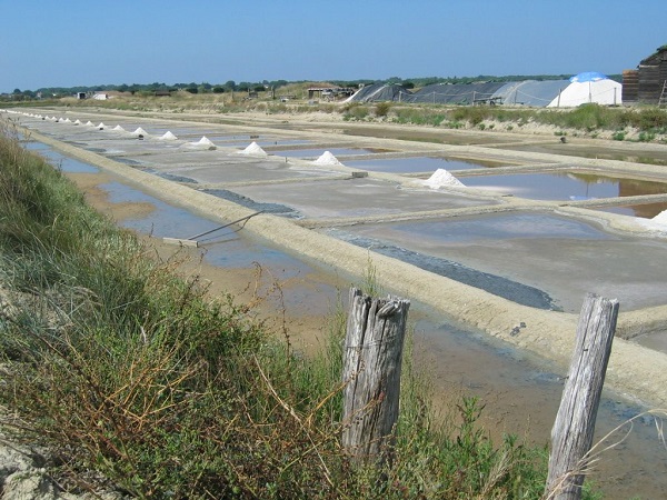 Marais.jpg