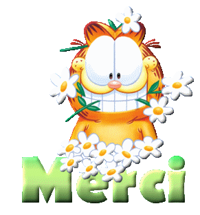 Merci 11.gif