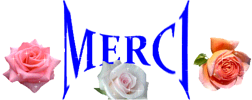 MERCI 2.gif