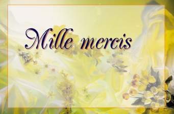 merci 4.jpg