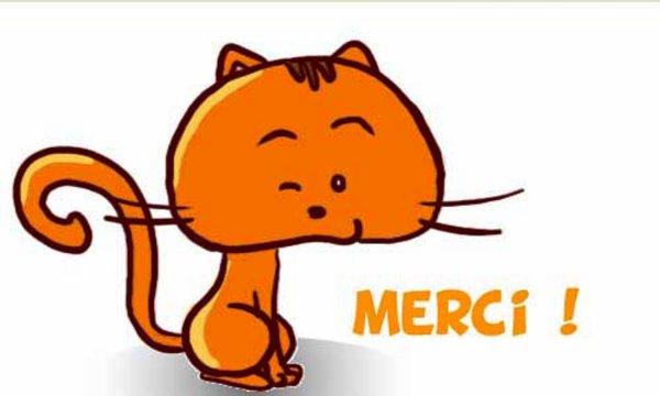 merci chat clin d oeil.jpg