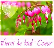 merci-coeur.jpg