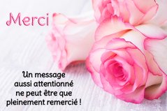 merci de tes voeux.jpg