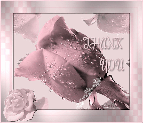 MERCI.gif rose.gif