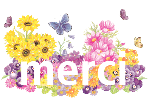 merci joli.png