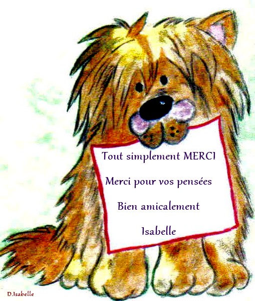 Merci.jpg