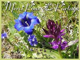 MERCI POUR CE PARTAGE FLEURI.jpg