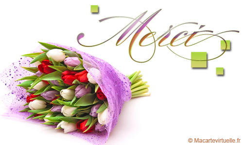 Merci + tulipes.jpg